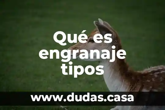 Qué es engranaje tipos