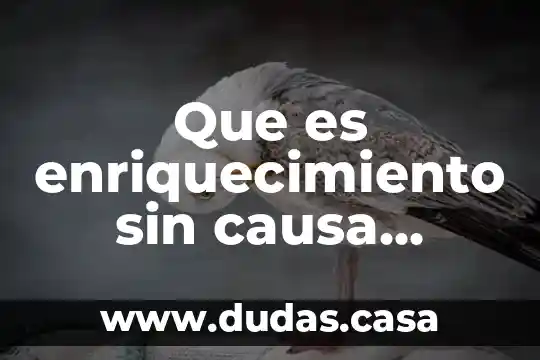 Que es enriquecimiento sin causa codigo civil