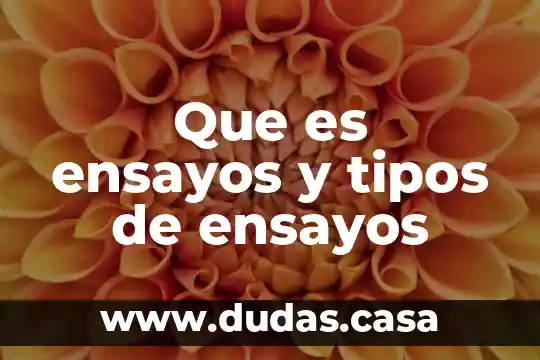Que es ensayos y tipos de ensayos