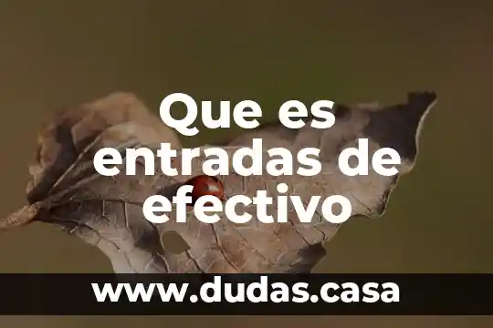 Que es entradas de efectivo