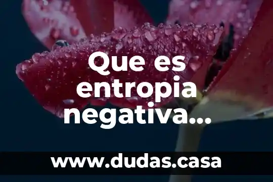 Que es entropia negativa biologia
