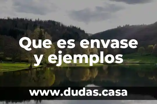 Que es envase y ejemplos