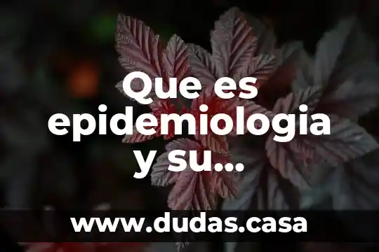 Que es epidemiologia y su importancia