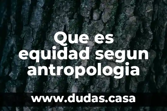 Que es equidad segun antropologia