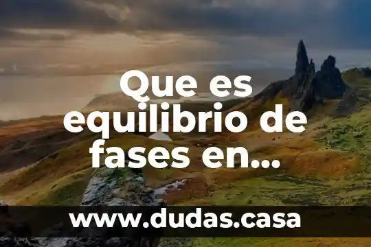 Que es equilibrio de fases en quimica
