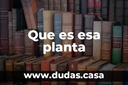 Que es esa planta