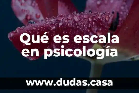 Qué es escala en psicología