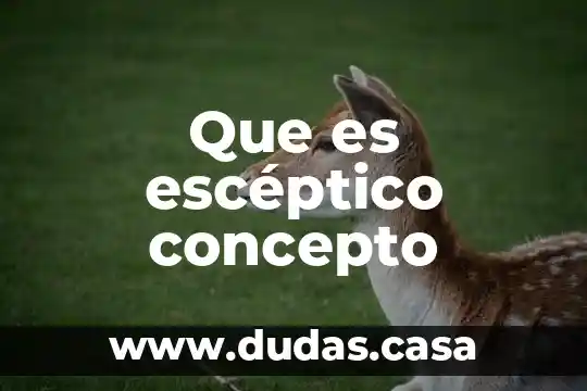 Que es escéptico concepto