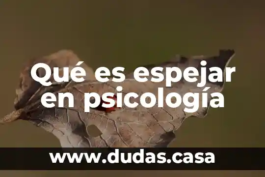 Qué es espejar en psicología