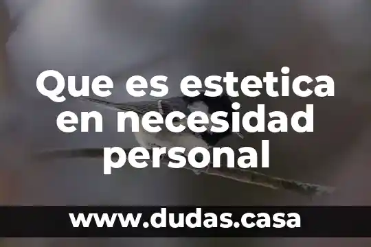 Que es estetica en necesidad personal