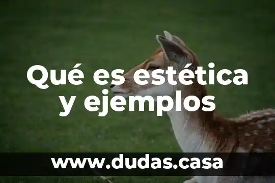 Qué es estética y ejemplos