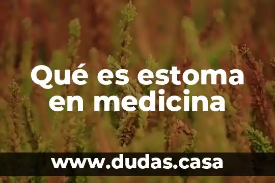 Qué es estoma en medicina