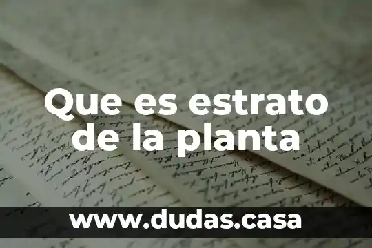 Que es estrato de la planta