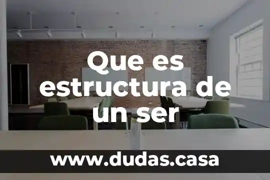 Que es estructura de un ser