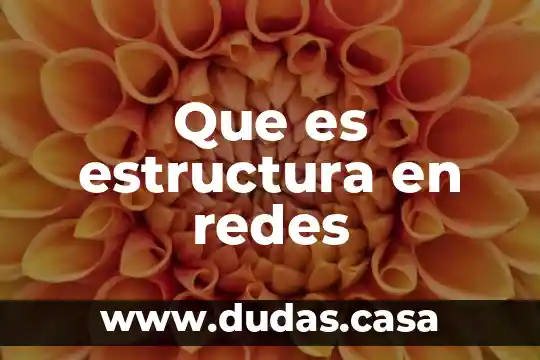 Que es estructura en redes