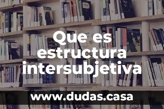 Que es estructura intersubjetiva