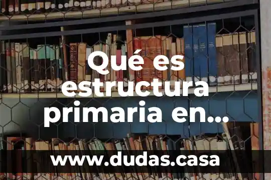 Qué es estructura primaria en rocas