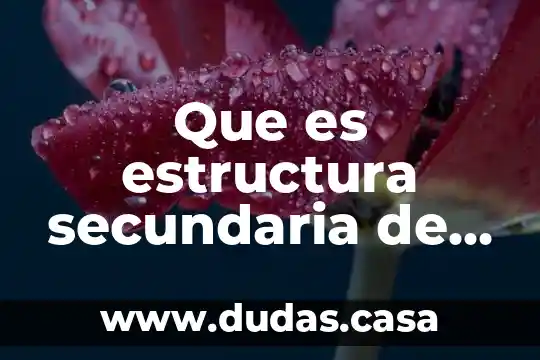 Que es estructura secundaria de las proteínas