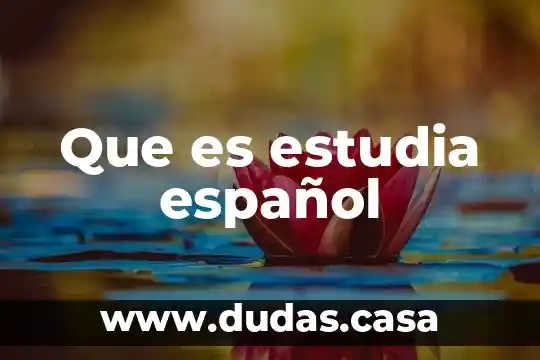 Que es estudia español