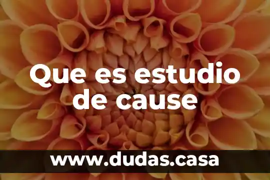 Que es estudio de cause