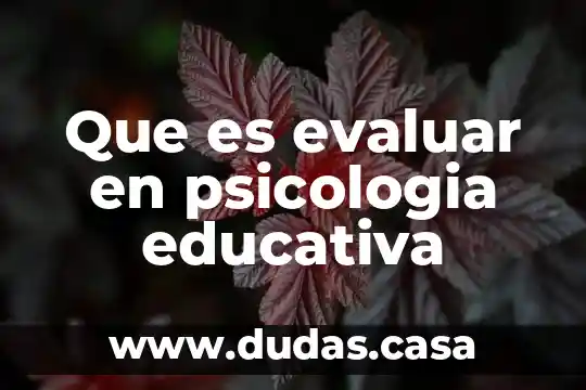 Que es evaluar en psicologia educativa