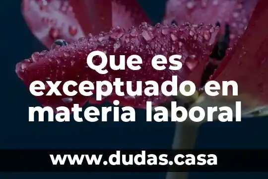 Que es exceptuado en materia laboral