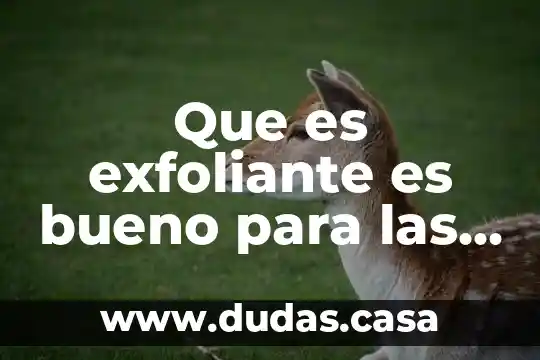 Que es exfoliante es bueno para las manchas