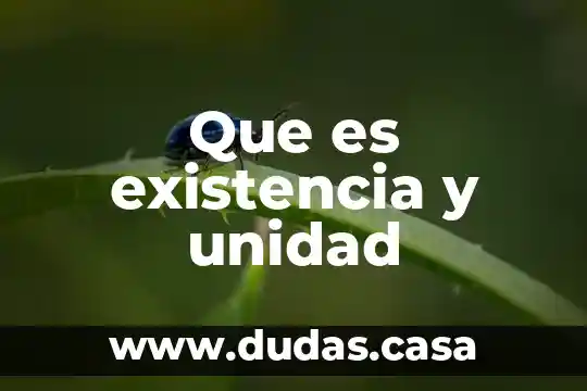 Que es existencia y unidad