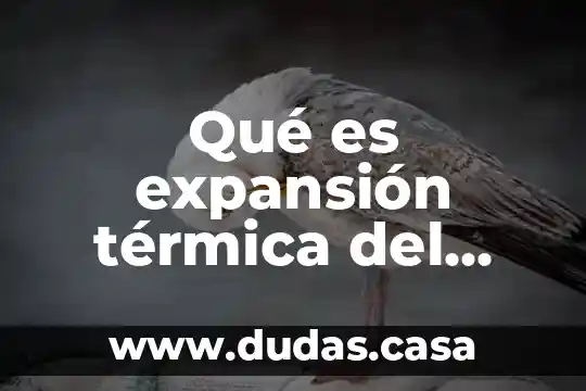 Qué es expansión térmica del agua