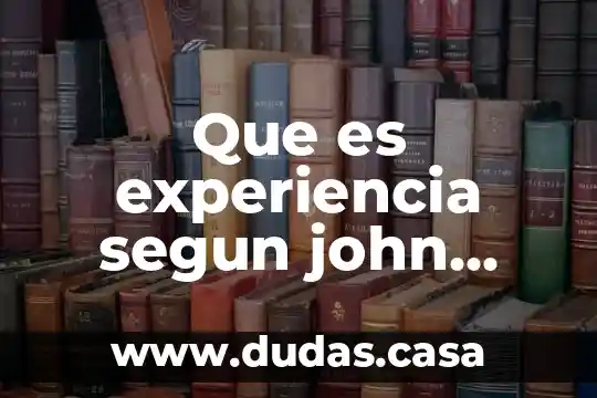 Que es experiencia segun john dewey