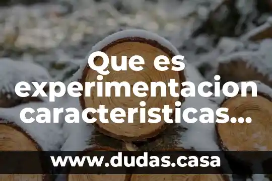 Que es experimentacion caracteristicas reglas y ejemplos
