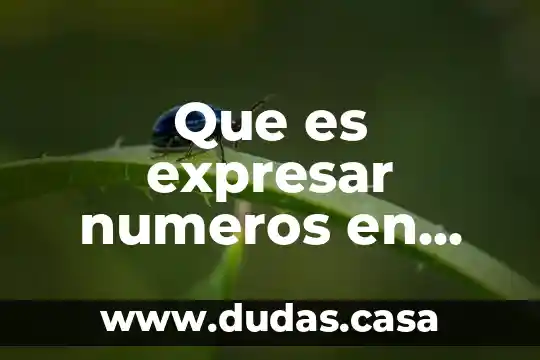 Que es expresar numeros en forma polar