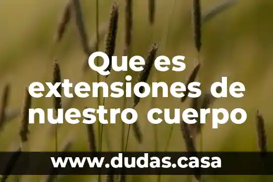 Que es extensiones de nuestro cuerpo
