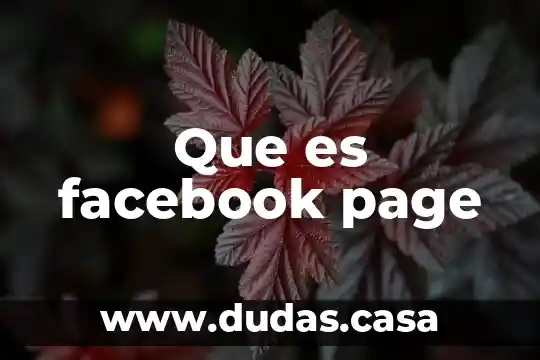 Que es facebook page