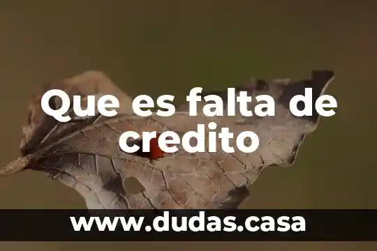 Que es falta de credito