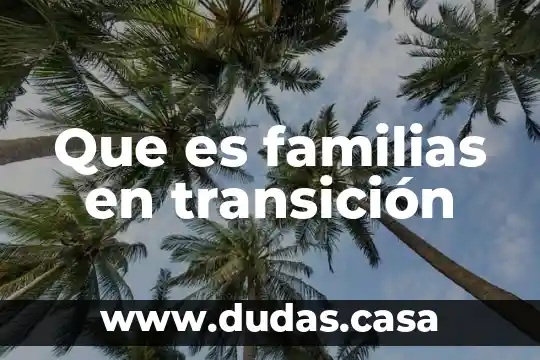 Que es familias en transición