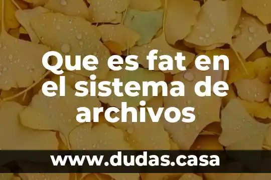 Que es fat en el sistema de archivos