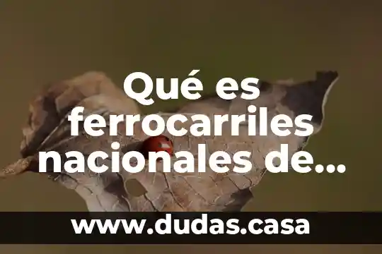 Qué es ferrocarriles nacionales de méxico