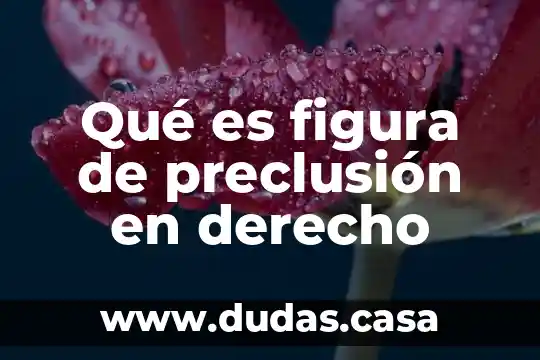 Qué es figura de preclusión en derecho