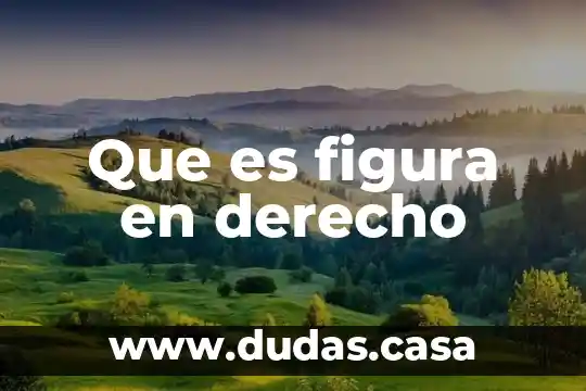 Que es figura en derecho