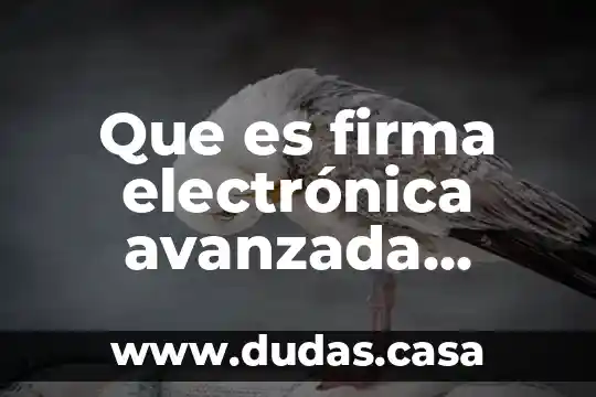 Que es firma electrónica avanzada e.firma