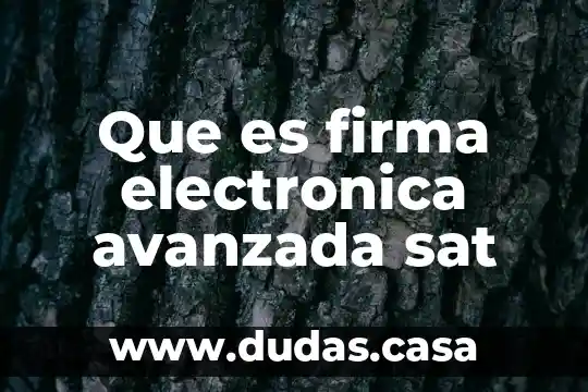 Que es firma electronica avanzada sat