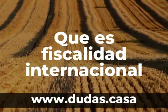 Que es fiscalidad internacional