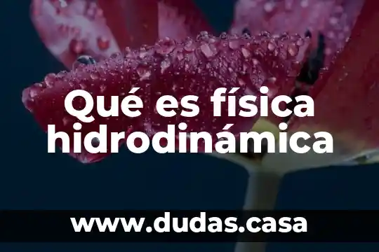 Qué es física hidrodinámica