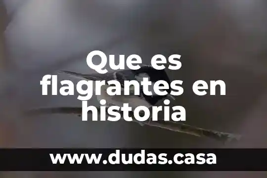 Que es flagrantes en historia
