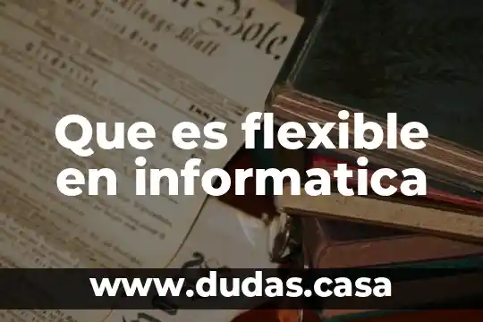 Que es flexible en informatica