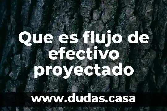 Que es flujo de efectivo proyectado
