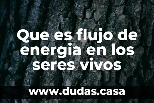 Que es flujo de energia en los seres vivos