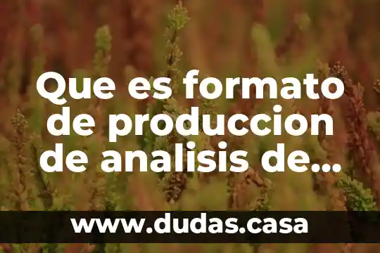 Que es formato de produccion de analisis de costos