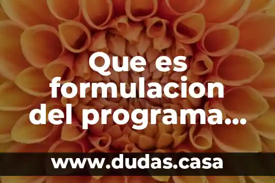 Que es formulacion del programa para su implementacion